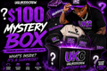 $100 Mystery Box